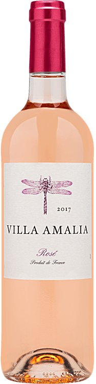 rose villa nursing home